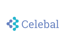 Celebal India Solutions Pvt. Ltd.