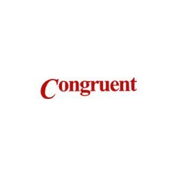 Read more about the article Congruent Info-Tech