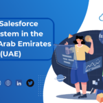 The Salesforce Ecosystem in the United Arab Emirates (UAE)