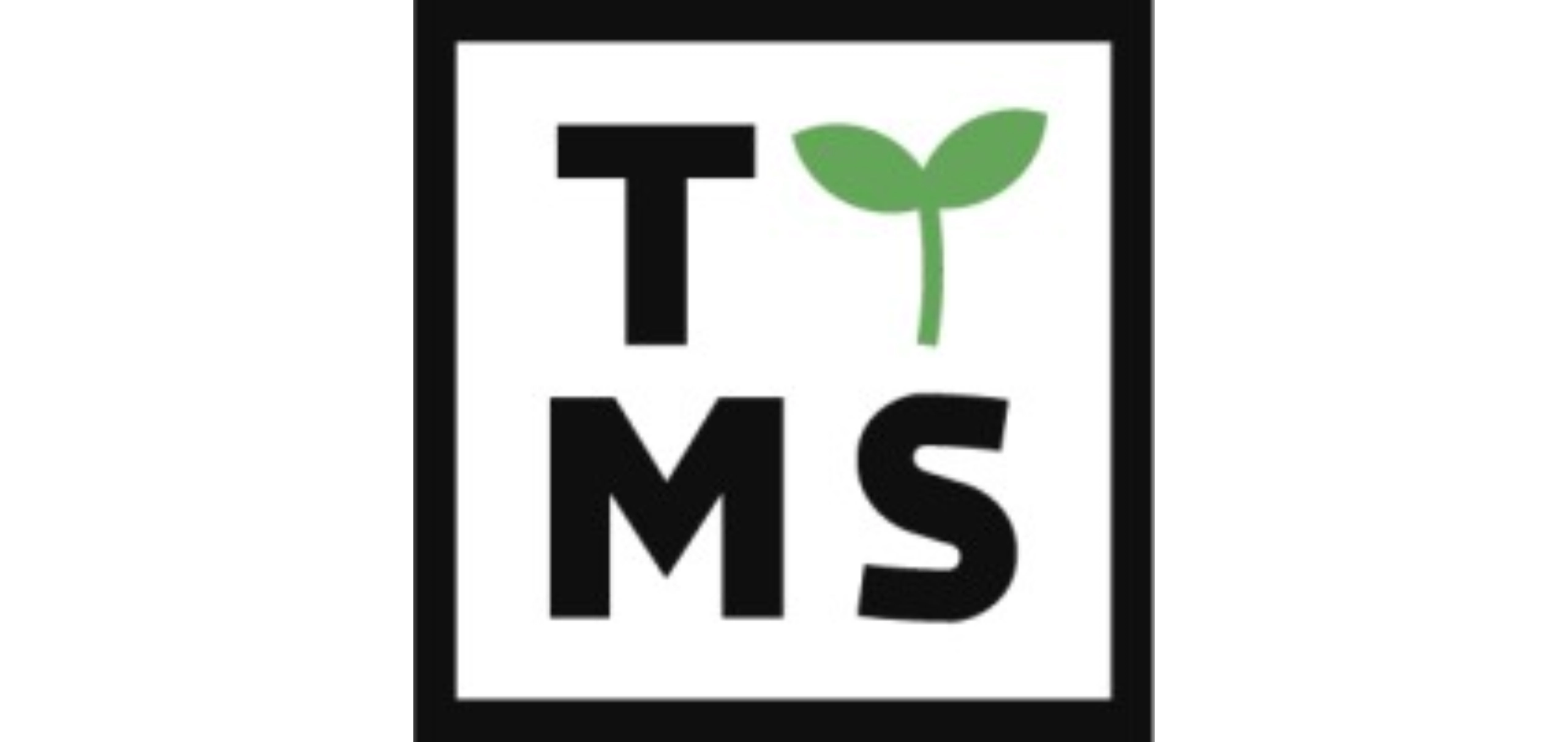 Transition Technologies MS 
